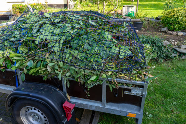 Best Estate Cleanout  in Stewartville, AL